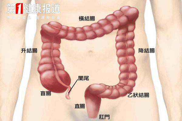 范老师的话蛮有道理：防控肠癌自己选择