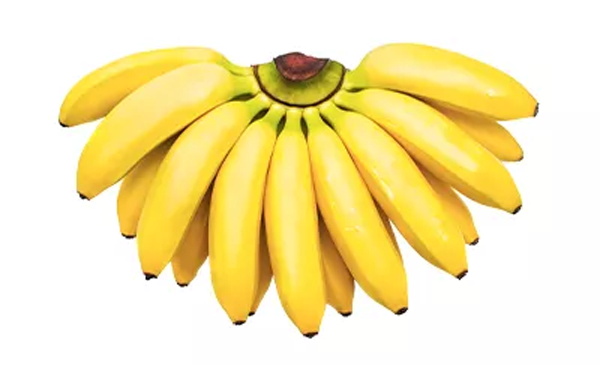 香蕉和芭蕉，到底哪个更通便？