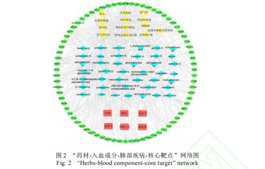 最新科研验证：补肺丸可治疗多种肺病及新冠恢复期咳嗽等症状923.png