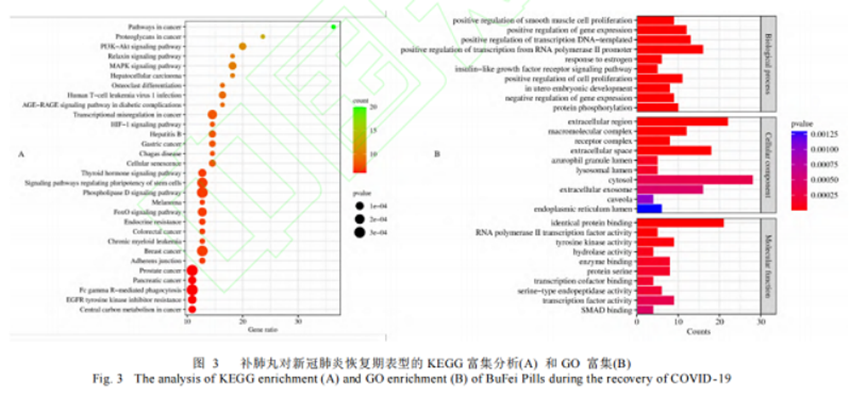 最新科研验证：补肺丸可治疗多种肺病及新冠恢复期咳嗽等症状926.png