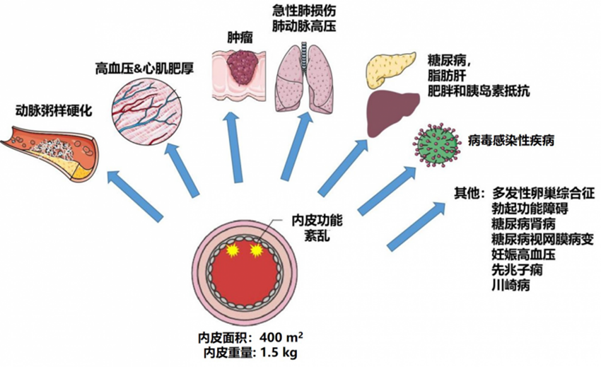 随着2024年最后一个小长假结束1109.png