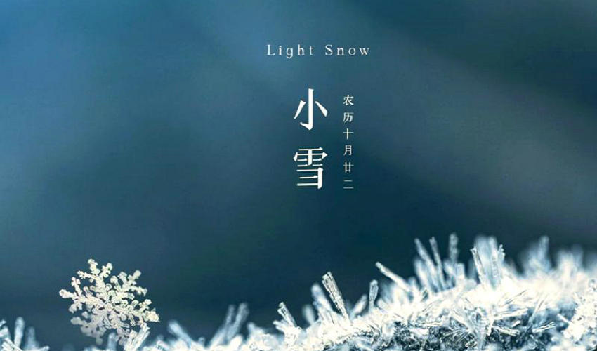 小雪节气养生 | 中医认为冬季进补就像在植物的根系上施肥