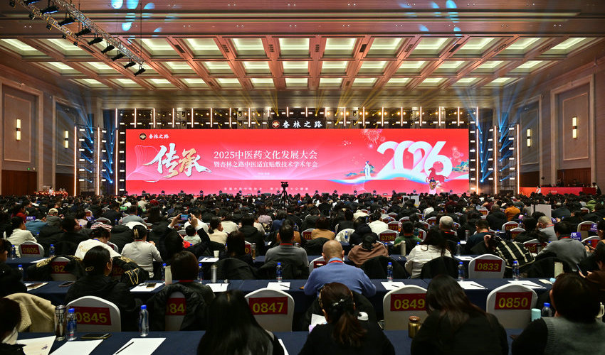 十年探索，杏林之路中医贴敷技术惠及亿万