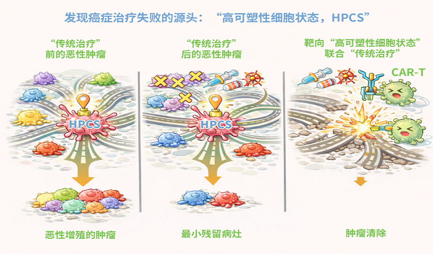 1769135900931504.png 202601228d13fc2e176b4e25aa386a6a1bae23bd_08bb3fac4d124233a936165ebebdd535.png