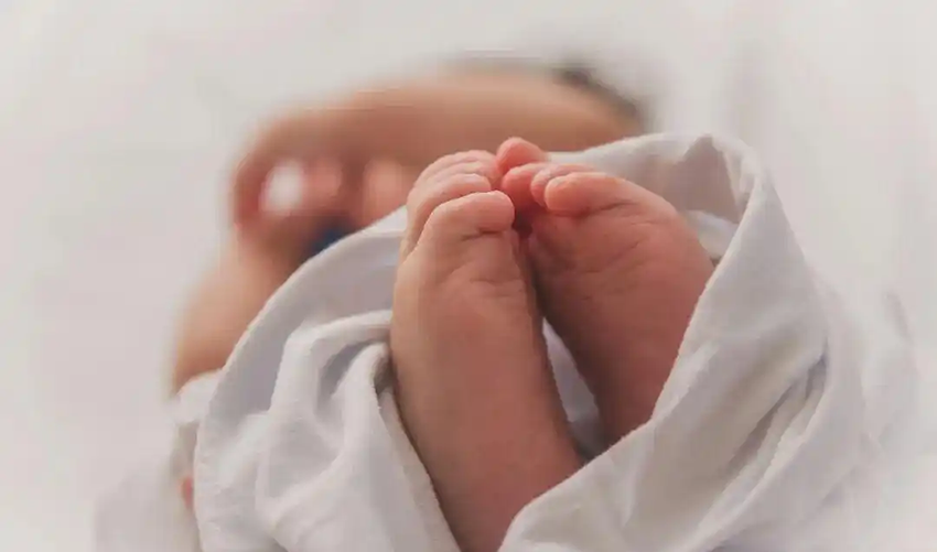 1769571524926209.png 1 拷贝.png