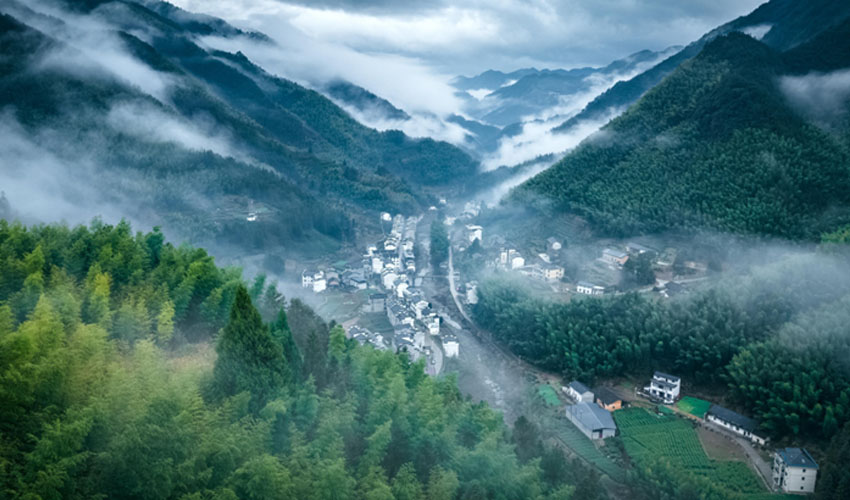 安徽林业总产值约7000亿元 位居全国第一方阵