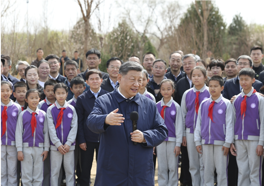 1774927264935479.png 图片.png