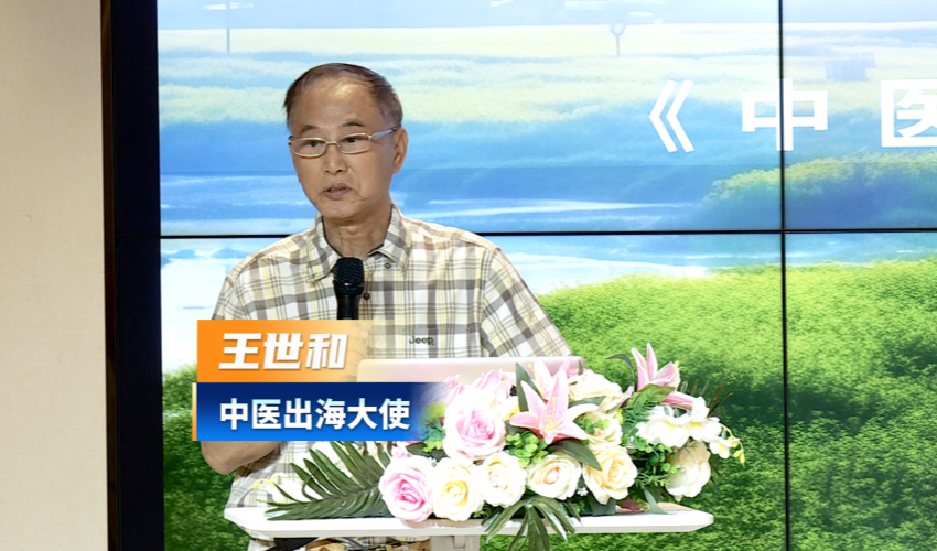 王世和：中医出海经验交流